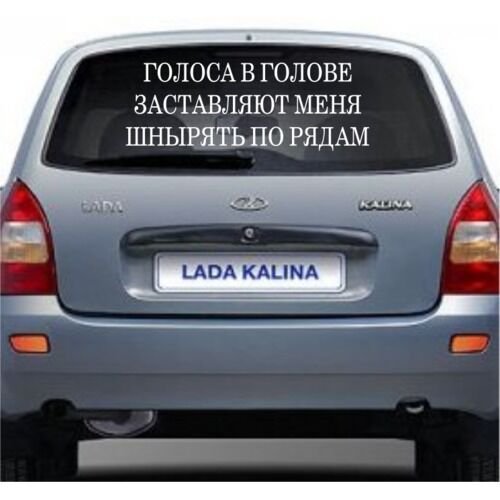 Голоса в голове заставляют меня шнырять