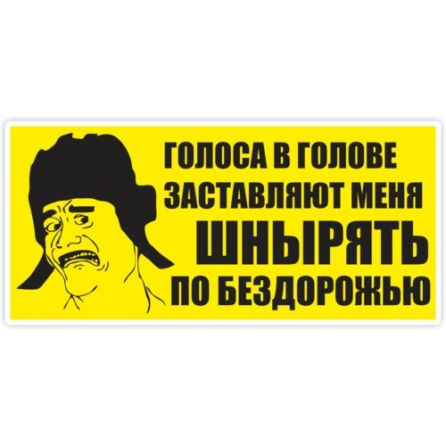 Голоса в моей голове заставляют