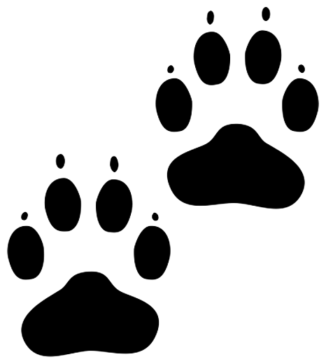 Наклейки кошачьих лап