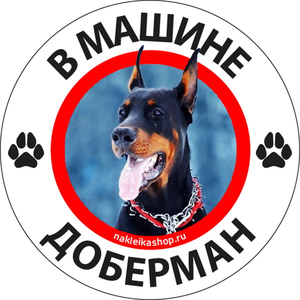 Наклейка Доберман на машину