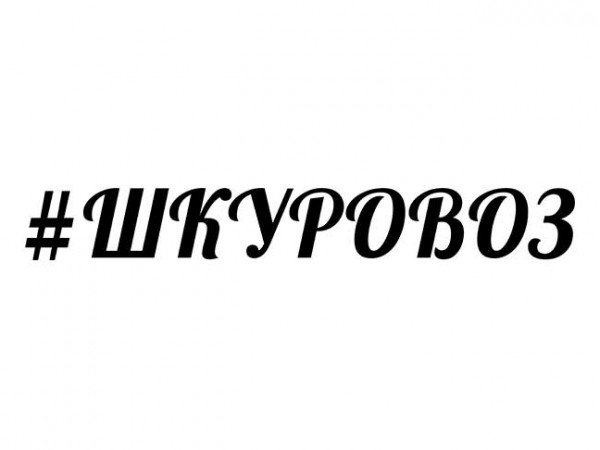 Наклейки на авто шкуравоз