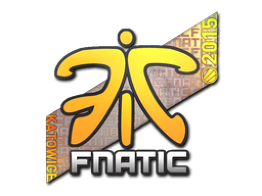 Наклейки Katowice 2014 Fnatic 490x326