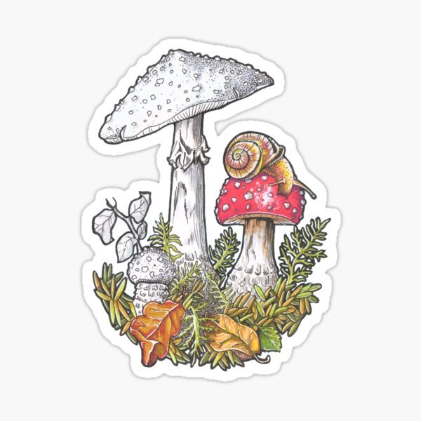 Наклейки мухомор (45 фото)