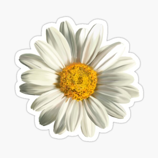 Наклейка ромашки