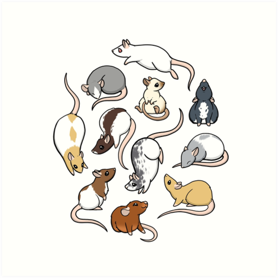 Милые Стикеры крысы