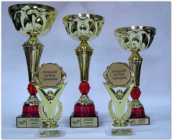 Шильд с гравировкой на Кубке