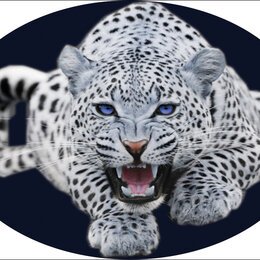 Снежный Барс наклейка на машину