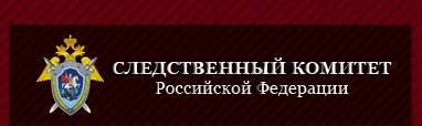 Следственный комитет РФ спасибо за внимание