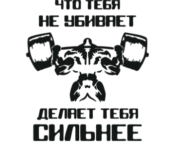 Наклейка на авто за активный спорт