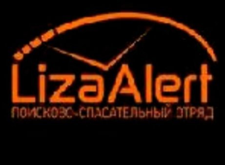 Лиза Алерт баннер