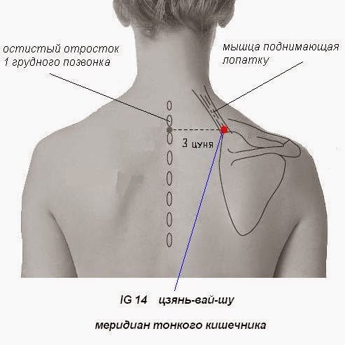 Капсула с наклейками perfect World 1