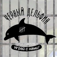 Черный Дельфин логотип