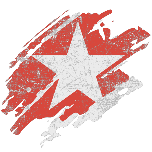 Звезда армия России