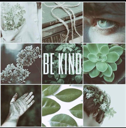 Сердечко на зеленом фоне