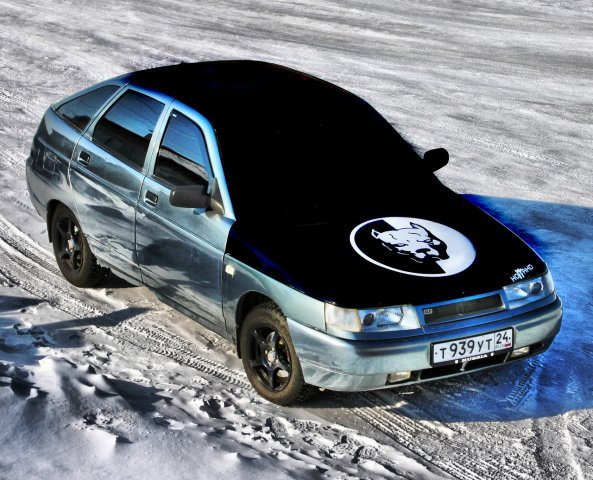 Питбуль на капоте ВАЗ 2110