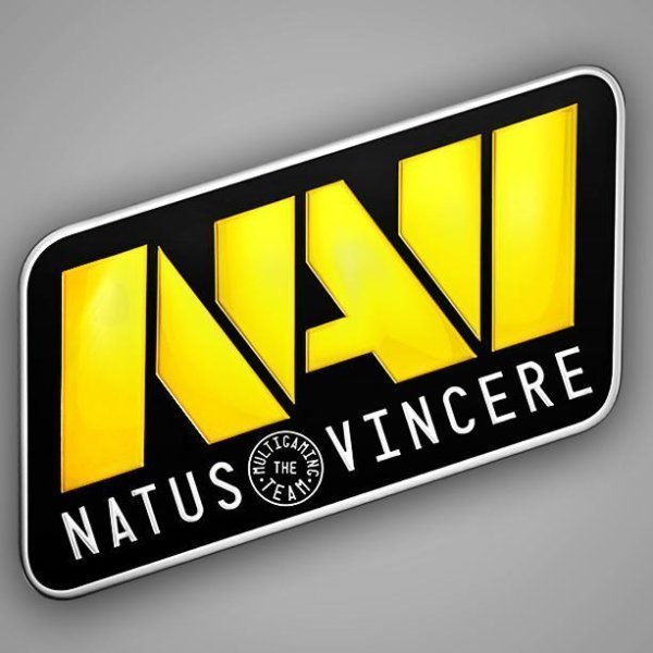 Наклейка Navi DREAMHACK 2014