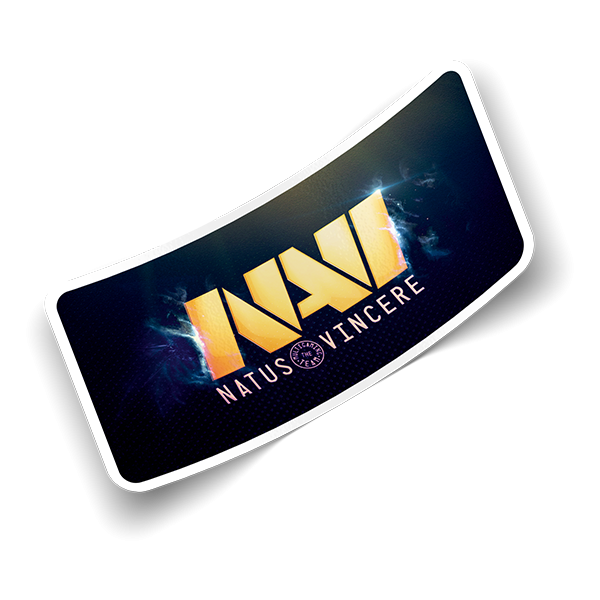 Наклейка Natus Vincere PMP 2020