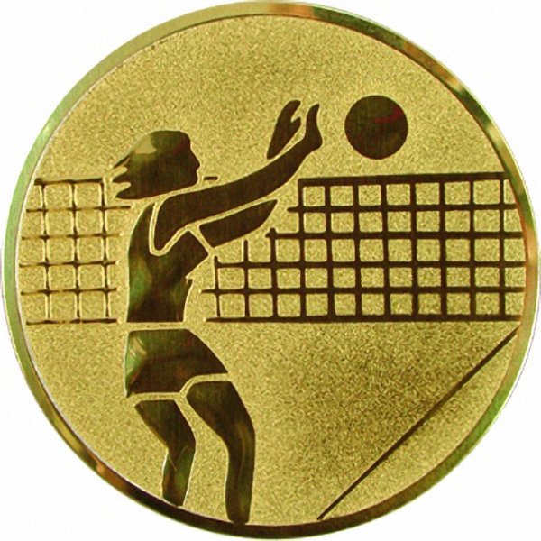 Медаль волейбол