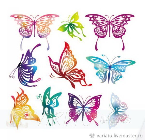 Термотрансфер бабочки