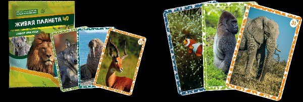 Монетка наклейки Живая Планета