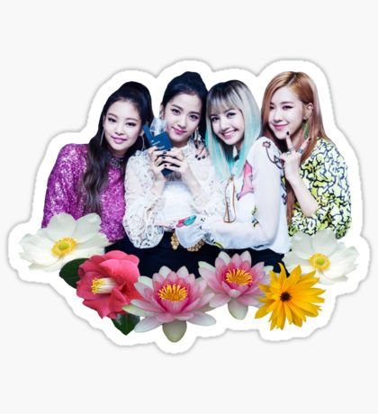 Наклейки Блэк Пинк