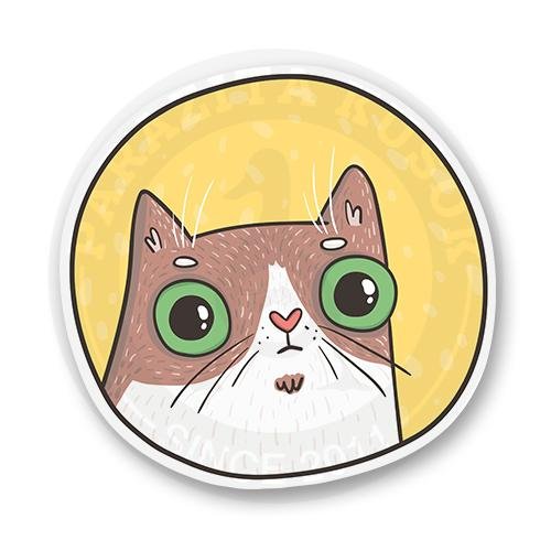 Коть моть нация