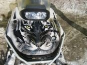 Аэрография на капоте снегохода