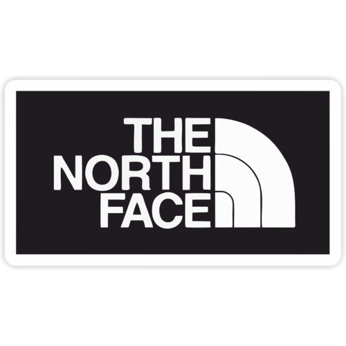 The North face надпись