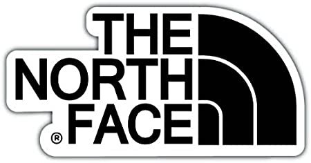 The North face надпись