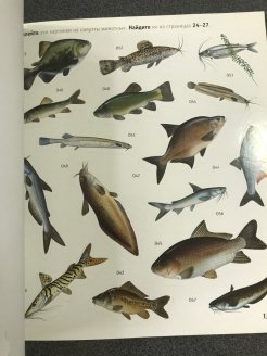 ГЕОДОМ атлас с наклейками