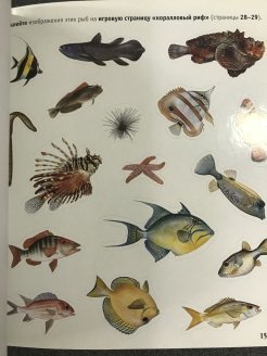 Обитатели рек морей и океанов