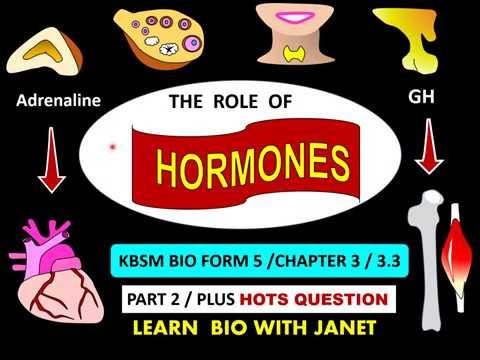 Осторожно пчелы