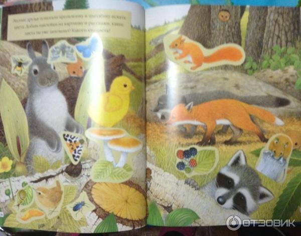 Морис Пледжер