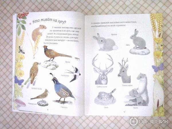 Чудо-наклейки. Крольчонок Билли. Счет и цвет