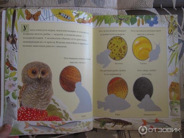 Морис пледжер чудо наклейки (49 фото)