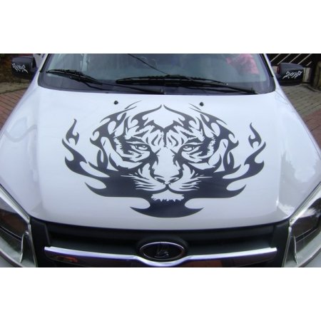 Виниловые наклейки на капот
