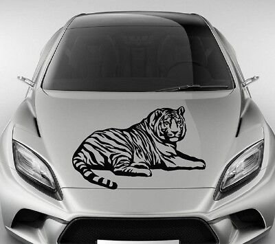 Наклейки на капот животные