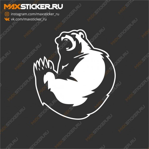 Наклейка 30 см на машине