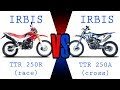 Irbis TTR 250 Cross