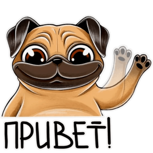 Стикер Мопс телеграмм