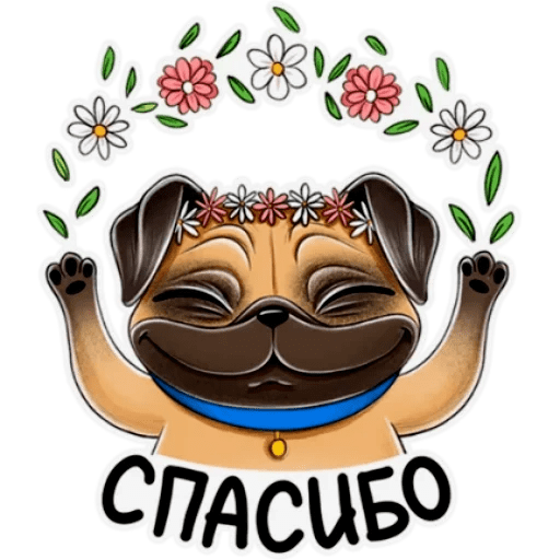 Набор стикеров Мопс