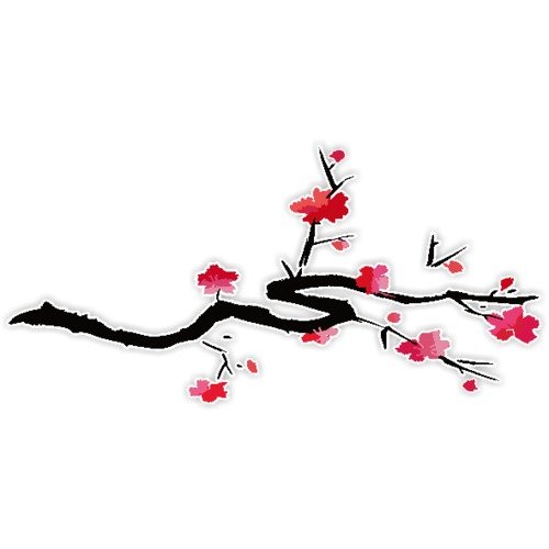 Япония Сакура