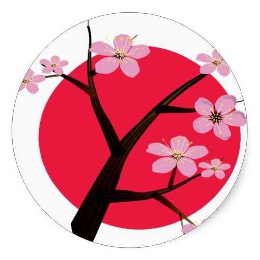 Сакура пикс