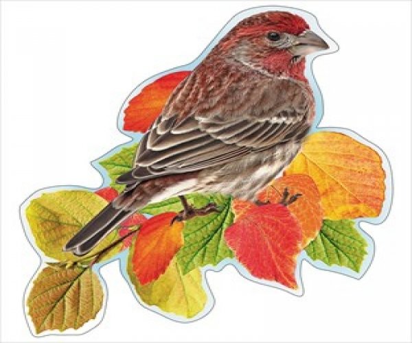 Скрап бумага птички