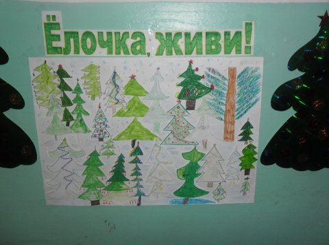 Плакат ёлочка живи в старшей группе