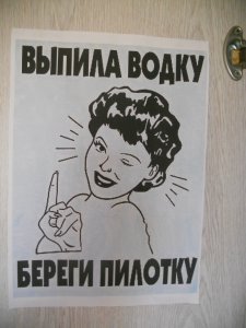 Выпила водку береги и пилотку