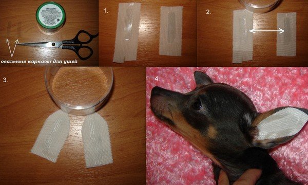 Пластырь для подклейки ушей собаке