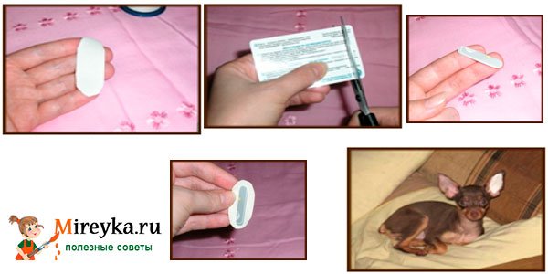 Пластырь для постановки ушей собак