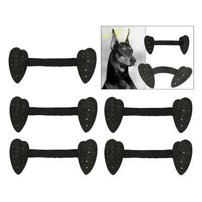 Чихуахуа мини ушки