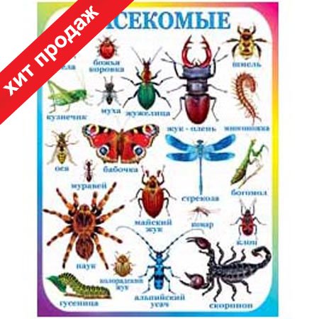 Адольф Миллот - Ботанические иллюстрации